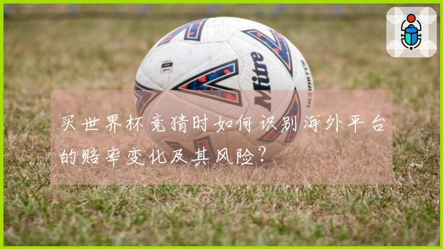 买世界杯竞猜时如何识别海外平台的赔率变化及其风险？