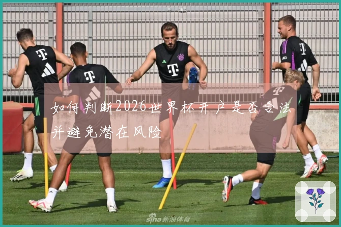 如何判断2026世界杯开户是否合法并避免潜在风险
