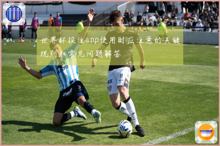 世界杯投注app使用时应注意的关键规则和常见问题解答