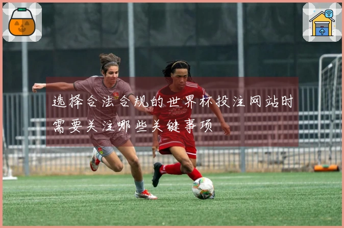 选择合法合规的世界杯投注网站时需要关注哪些关键事项