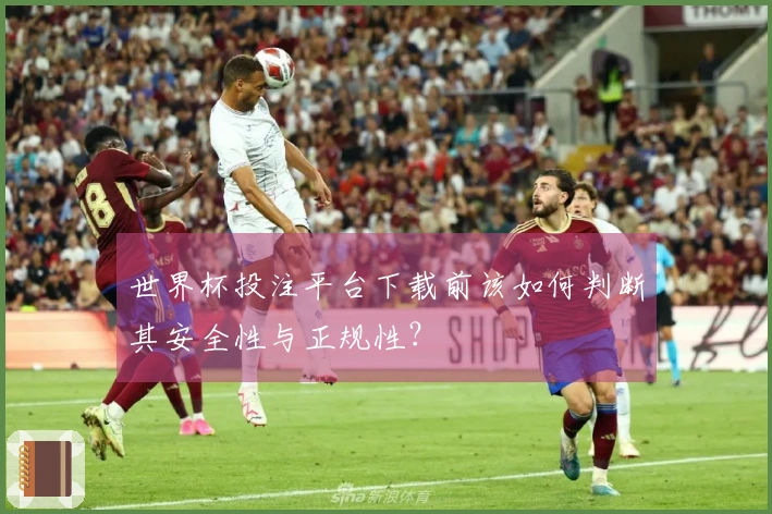 世界杯投注平台下载前该如何判断其安全性与正规性？