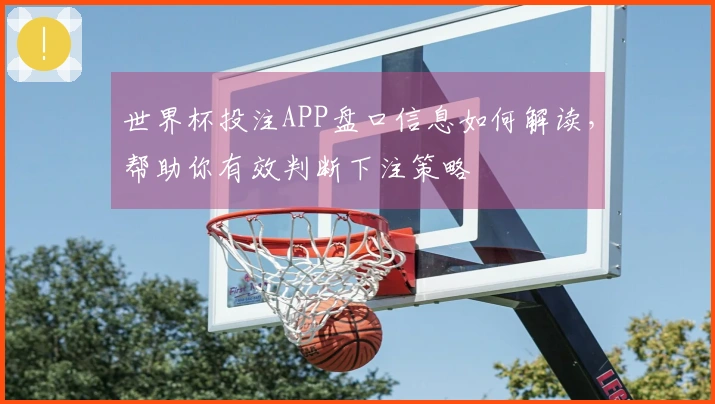 世界杯投注APP盘口信息如何解读，帮助你有效判断下注策略