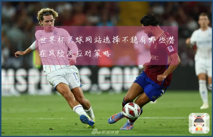 世界杯买球网站选择不稳有哪些潜在风险及应对策略