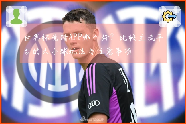 世界杯竞猜APP哪个好？比较主流平台的大小球玩法与注意事项