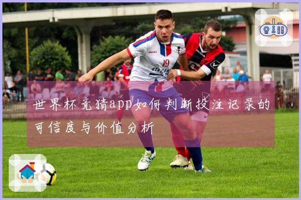 世界杯竞猜app如何判断投注记录的可信度与价值分析