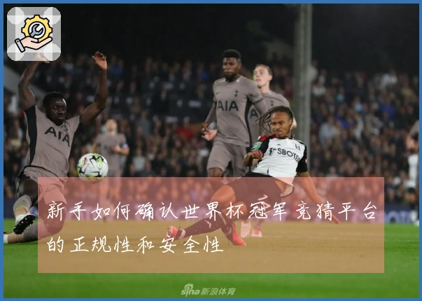 新手如何确认世界杯冠军竞猜平台的正规性和安全性