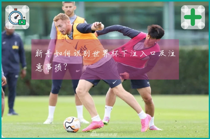 新手如何识别世界杯下注入口及注意事项？