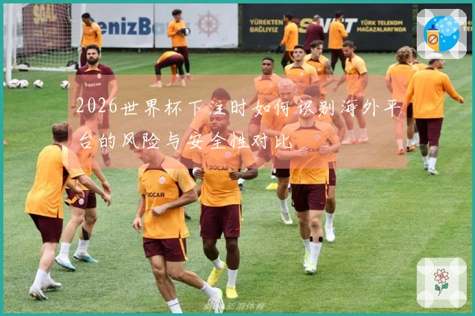 2026世界杯下注时如何识别海外平台的风险与安全性对比