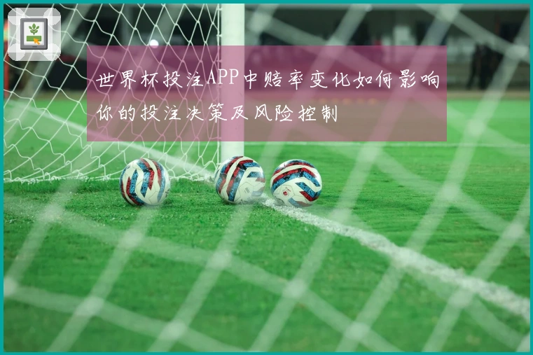 世界杯投注APP中赔率变化如何影响你的投注决策及风险控制