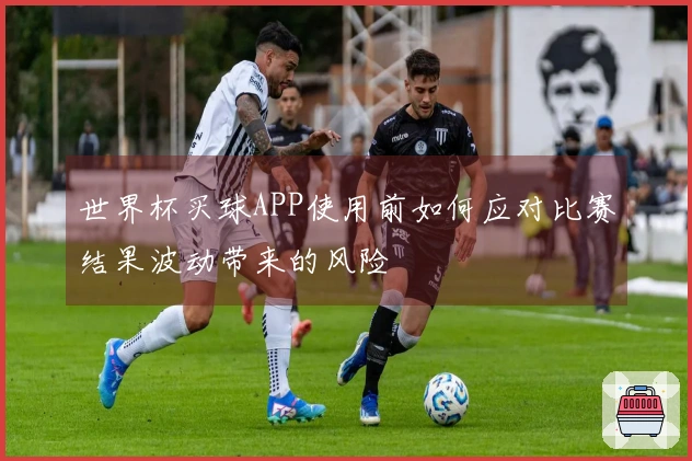 世界杯买球APP使用前如何应对比赛结果波动带来的风险