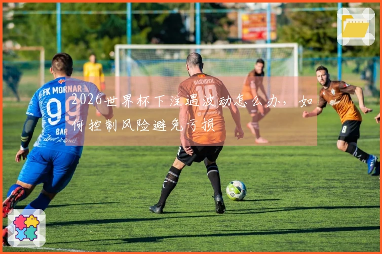 2026世界杯下注遇波动怎么办，如何控制风险避免亏损