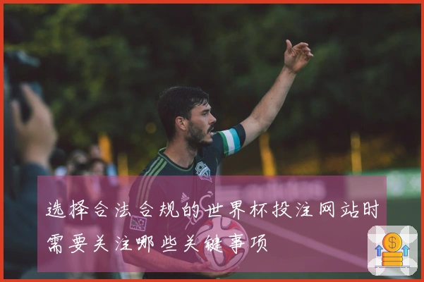 选择合法合规的世界杯投注网站时需要关注哪些关键事项