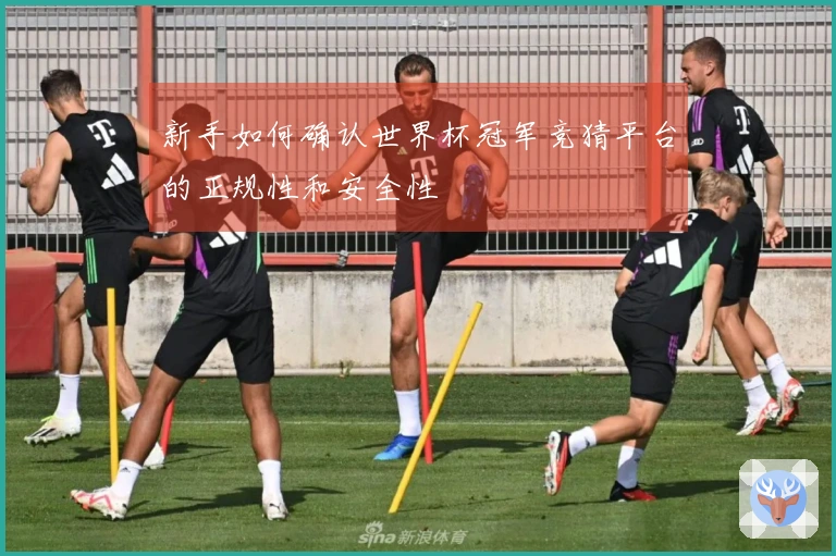 新手如何确认世界杯冠军竞猜平台的正规性和安全性