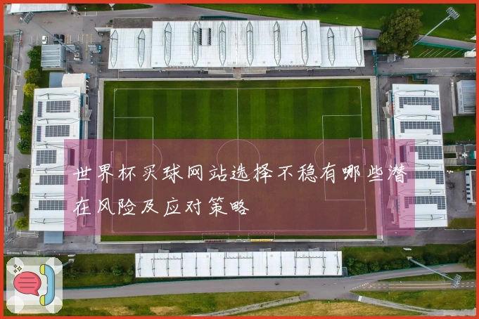 世界杯买球网站选择不稳有哪些潜在风险及应对策略