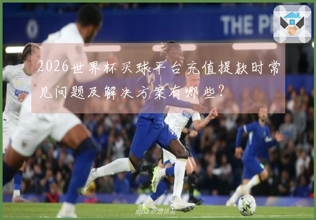2026世界杯买球平台充值提款时常见问题及解决方案有哪些？