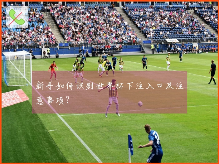 新手如何识别世界杯下注入口及注意事项？