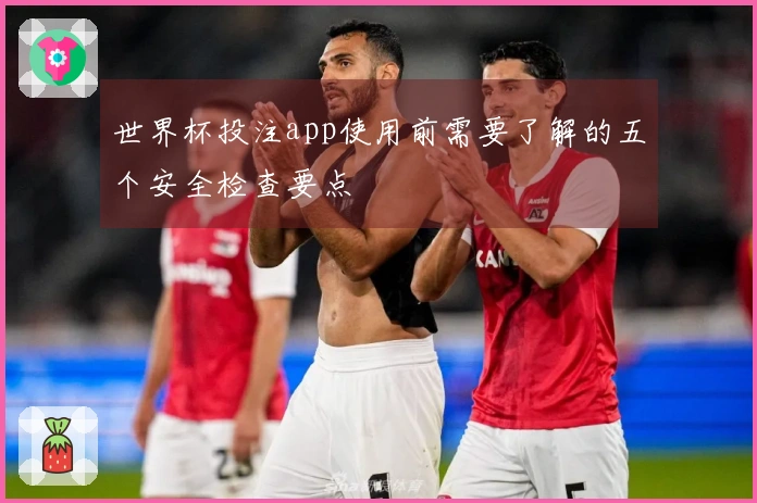 世界杯投注app使用前需要了解的五个安全检查要点