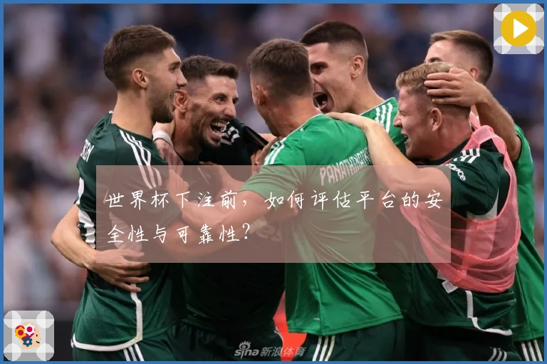 世界杯下注前，如何评估平台的安全性与可靠性？