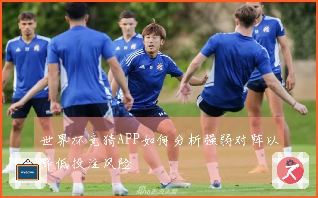 世界杯竞猜APP如何分析强弱对阵以降低投注风险
