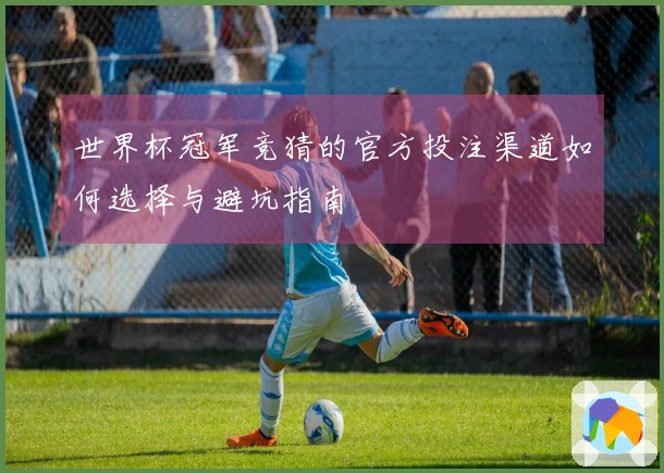 世界杯冠军竞猜的官方投注渠道如何选择与避坑指南