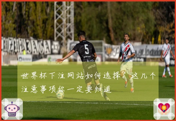 世界杯下注网站如何选择？这几个注意事项你一定要知道