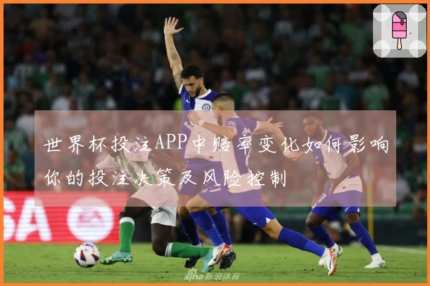 世界杯投注APP中赔率变化如何影响你的投注决策及风险控制