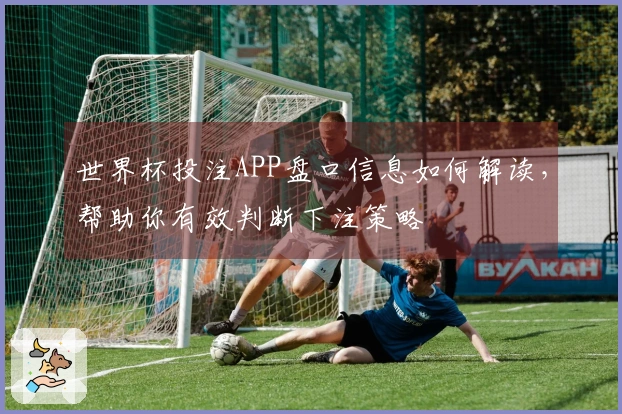 世界杯投注APP盘口信息如何解读，帮助你有效判断下注策略