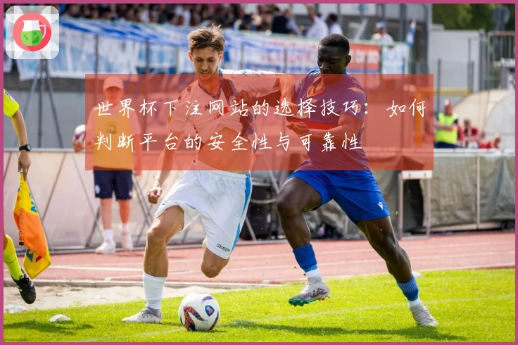 世界杯下注网站的选择技巧：如何判断平台的安全性与可靠性